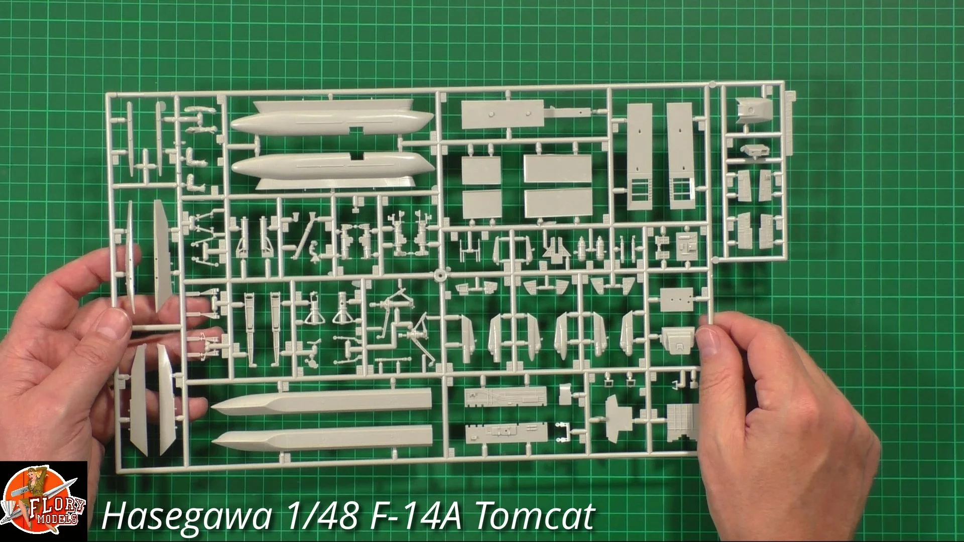 Hasegawa 1/48 F-14A Tomcat Review — Flory Models